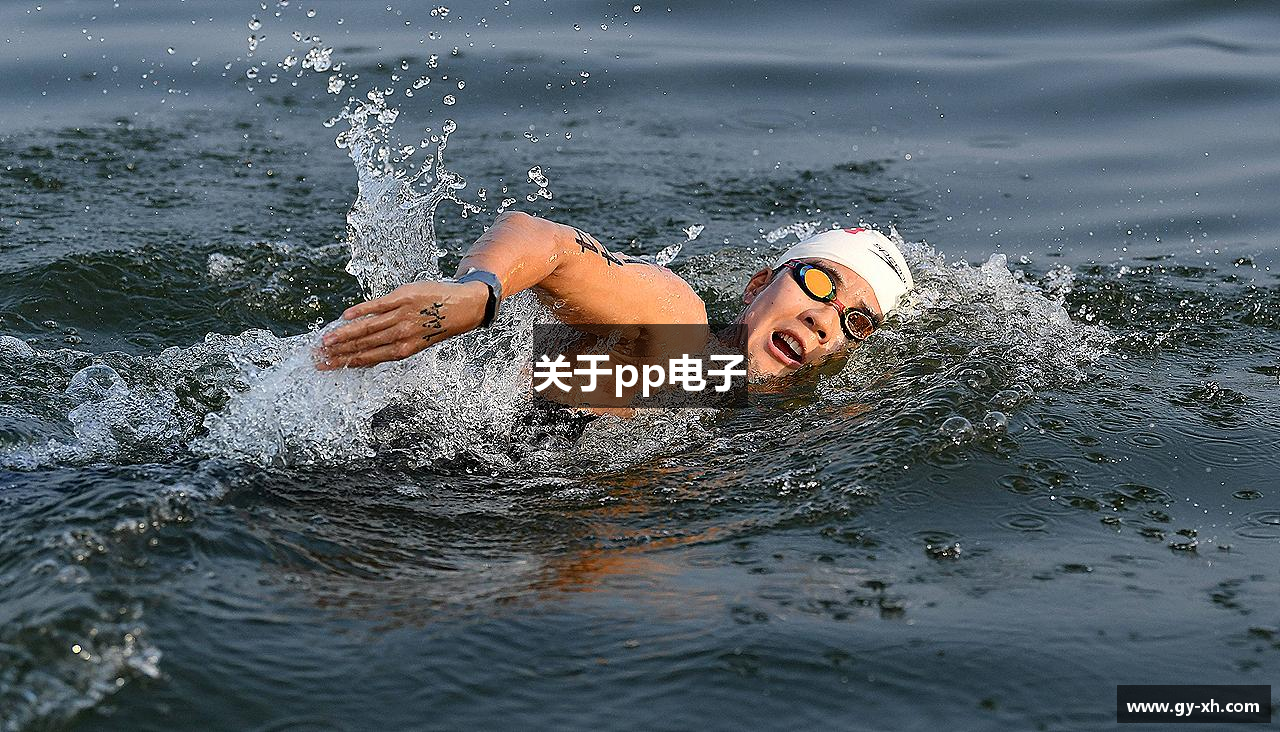 关于pp电子